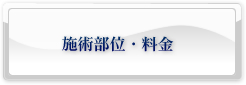 施術部位・料金